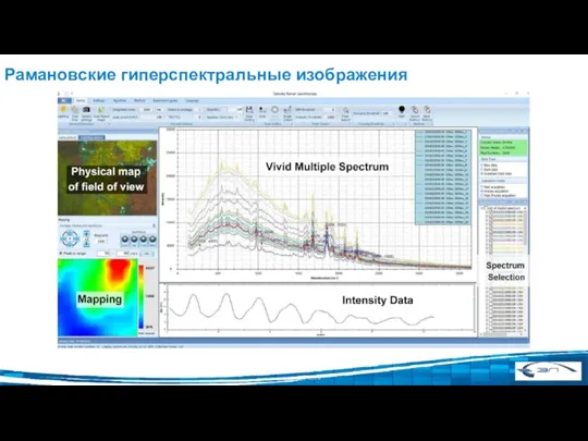 Рамановские гиперспектральные изображения