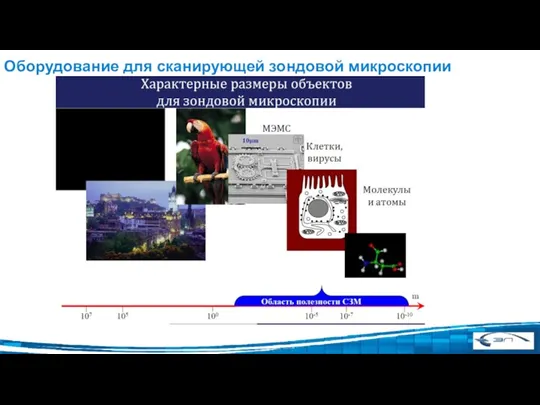 Оборудование для сканирующей зондовой микроскопии