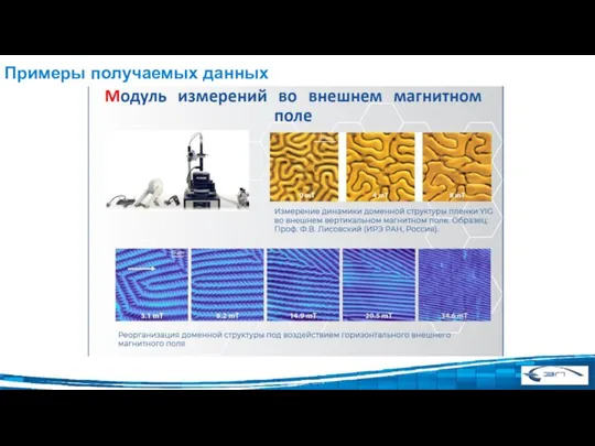 Примеры получаемых данных