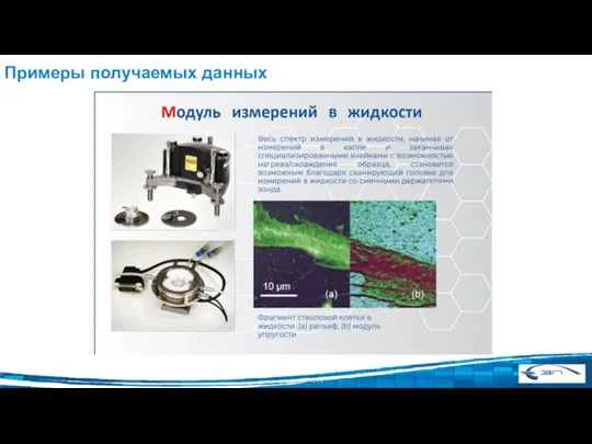 Примеры получаемых данных