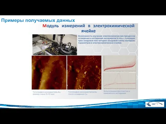 Примеры получаемых данных