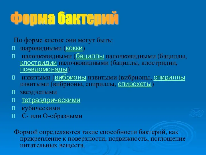 По форме клеток они могут быть: шаровидными (кокки) палочковидными (бациллы палочковидными (бациллы,