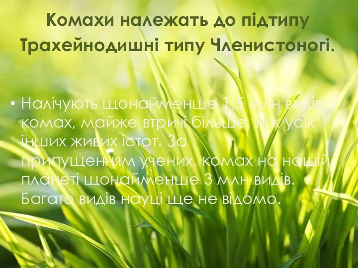 Комахи належать до підтипу Трахейнодишні типу Членистоногі. Налічують щонайменше 1,5 млн видів