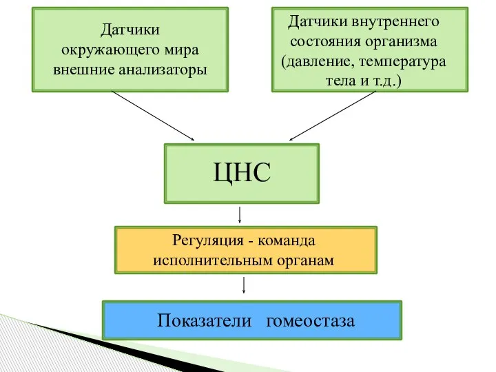 Датчики окружающего мира внешние анализаторы Датчики внутреннего состояния организма (давление, температура тела