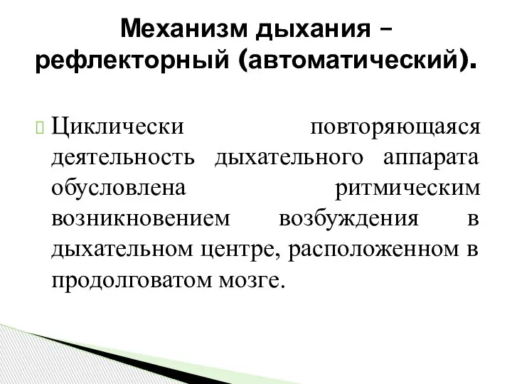 Циклически повторяющаяся деятельность дыхательного аппарата обусловлена ритмическим возникновением возбуждения в дыхательном центре,