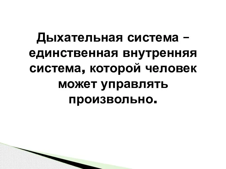 Дыхательная система – единственная внутренняя система, которой человек может управлять произвольно.