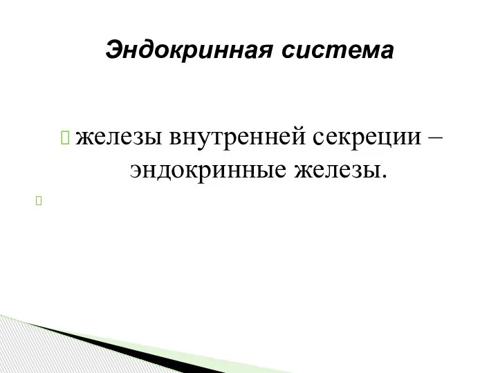 железы внутренней секреции – эндокринные железы. Эндокринная система