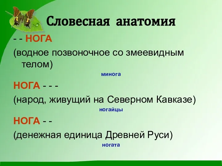 Словесная анатомия - - НОГА (водное позвоночное со змеевидным телом) минога НОГА