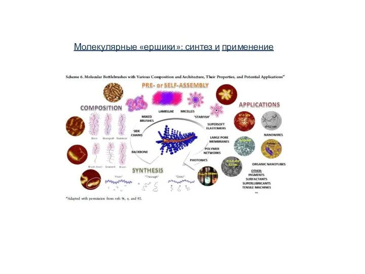 Молекулярные «ершики»: синтез и применение