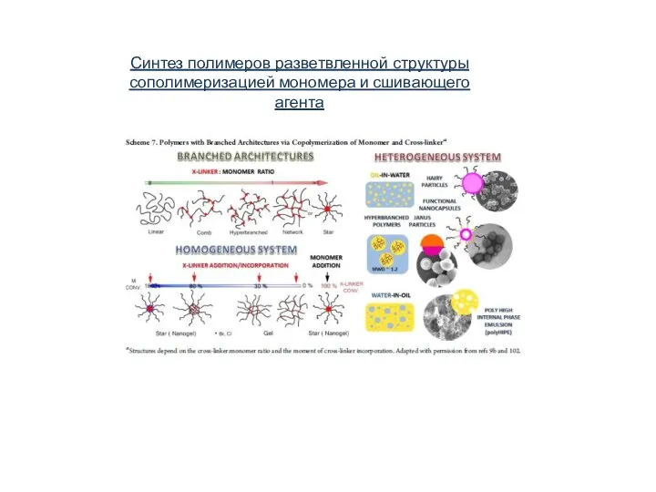 Синтез полимеров разветвленной структуры сополимеризацией мономера и сшивающего агента