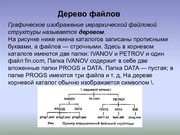 Графическое изображение иерархической файловой структуры называется деревом. На рисунке ниже имена каталогов