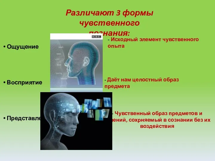 Различают 3 формы чувственного познания: Ощущение Восприятие Представление - Исходный элемент чувственного