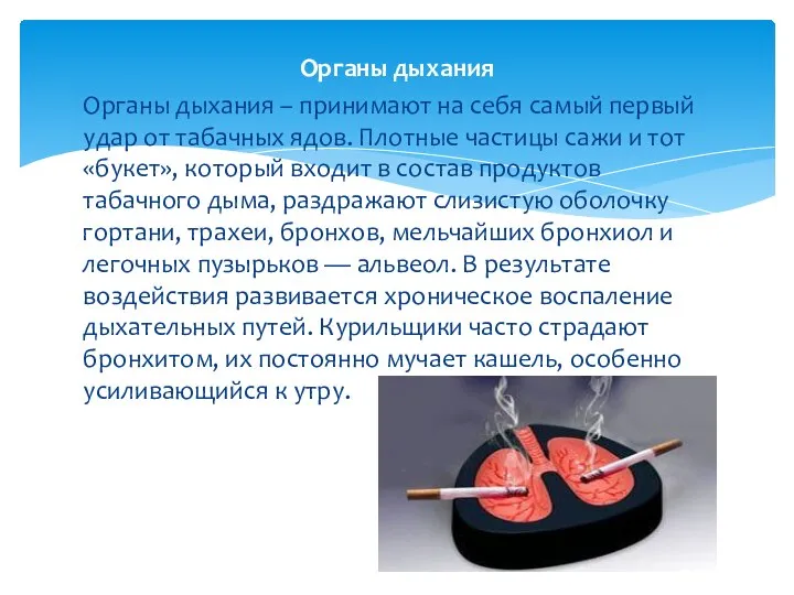 Органы дыхания Органы дыхания – принимают на себя самый первый удар от