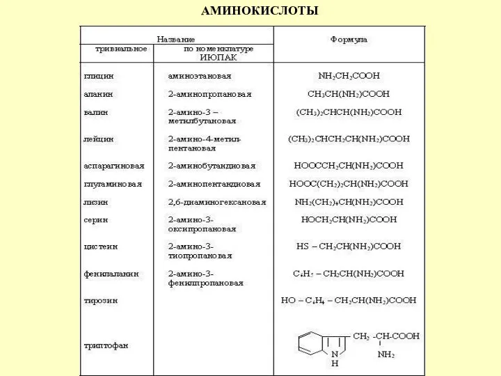 АМИНОКИСЛОТЫ