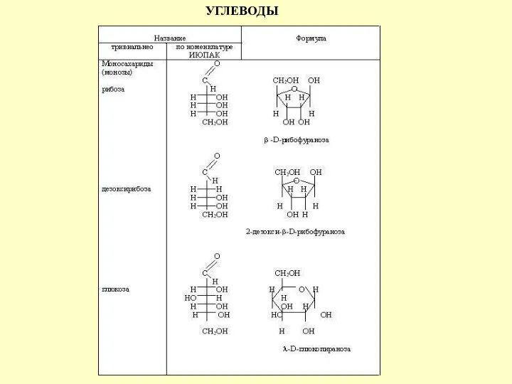 УГЛЕВОДЫ