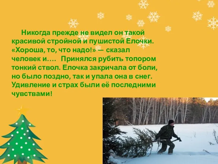 Никогда прежде не видел он такой красивой стройной и пушистой Елочки. «Хороша,