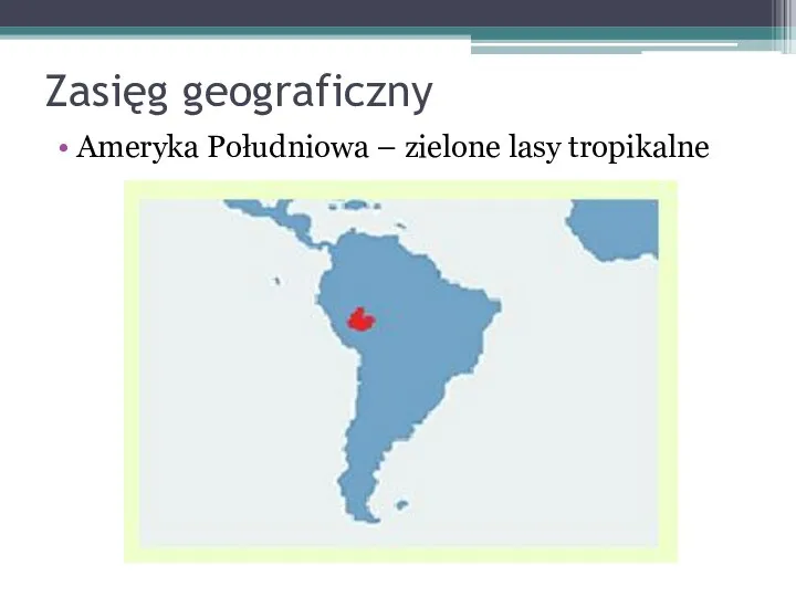 Zasięg geograficzny Ameryka Południowa – zielone lasy tropikalne