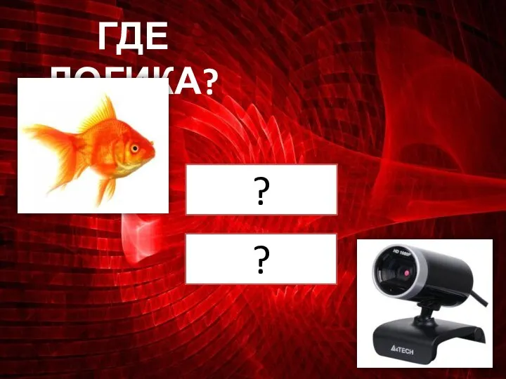 ГДЕ ЛОГИКА? ? ?