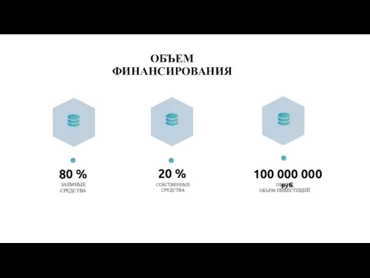 ОБЪЕМ ФИНАНСИРОВАНИЯ ЗАЕМНЫЕ СРЕДСТВА 80 % СОБСТВЕННЫЕ СРЕДСТВА 20 % ОБЩИЙ ОБЪЕМ