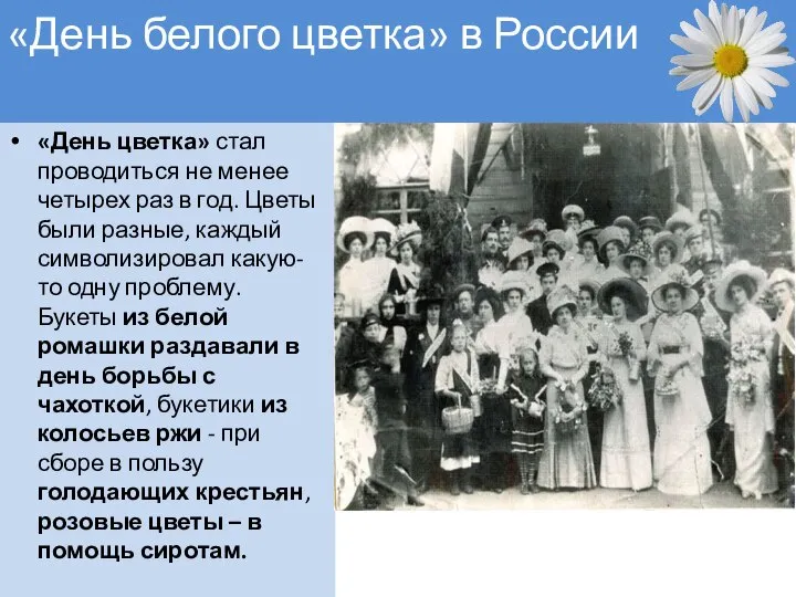 «День белого цветка» в России «День цветка» стал проводиться не менее четырех