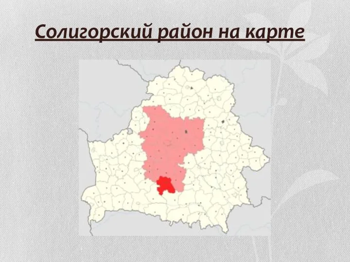 Солигорский район на карте
