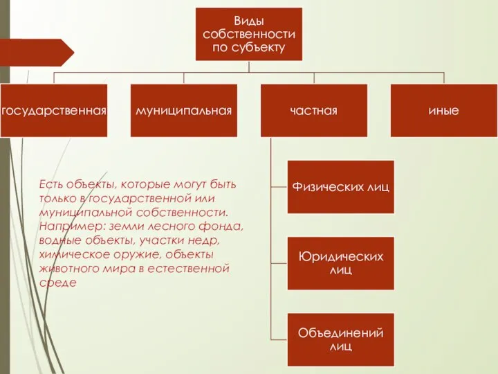 Есть объекты, которые могут быть только в государственной или муниципальной собственности. Например: