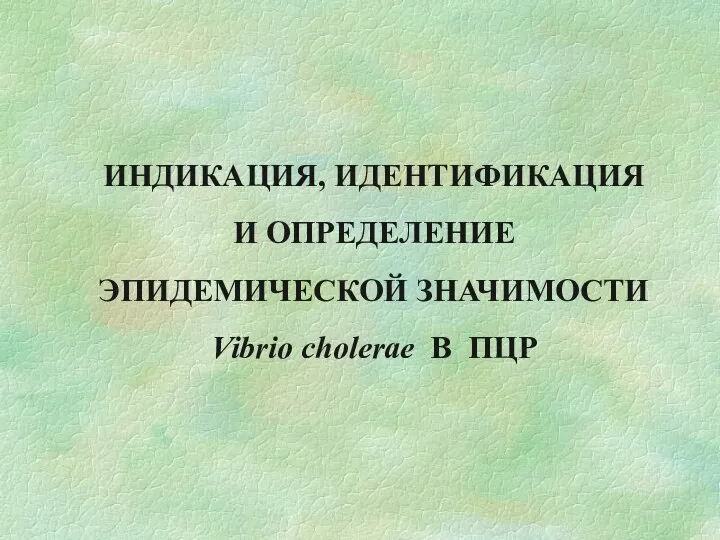 ИНДИКАЦИЯ, ИДЕНТИФИКАЦИЯ И ОПРЕДЕЛЕНИЕ ЭПИДЕМИЧЕСКОЙ ЗНАЧИМОСТИ Vibrio cholerae В ПЦР