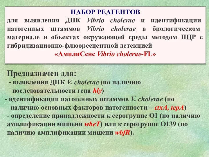 Предназначен для: - выявления ДНК V. cholerae (по наличию последовательности гена hly)