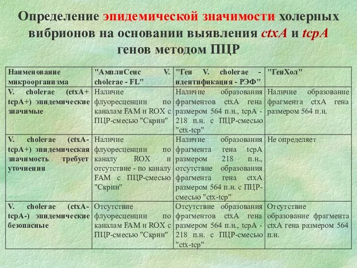 Определение эпидемической значимости холерных вибрионов на основании выявления ctxA и tcpA генов методом ПЦР