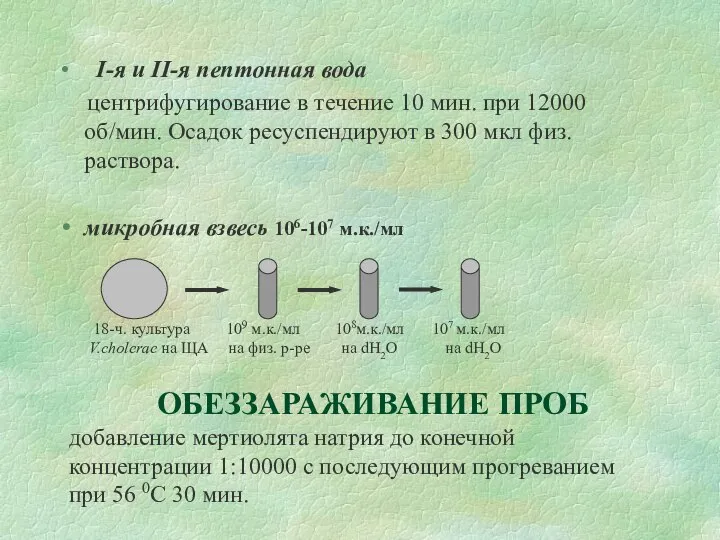 I-я и II-я пептонная вода центрифугирование в течение 10 мин. при 12000