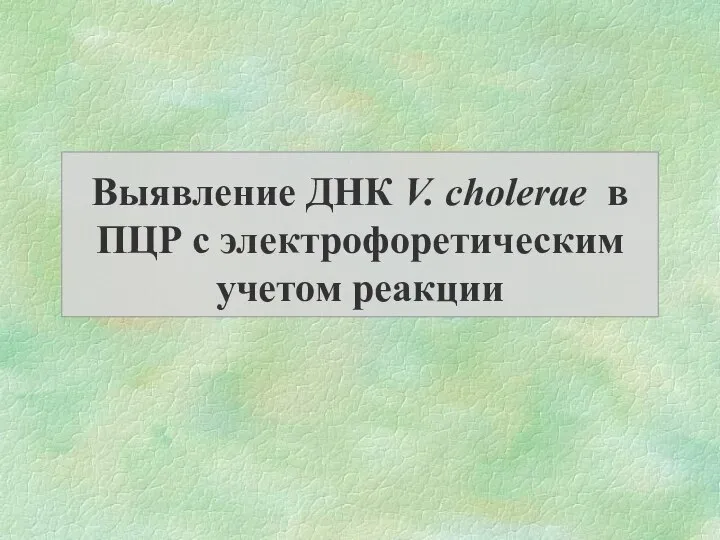 Выявление ДНК V. cholerae в ПЦР с электрофоретическим учетом реакции