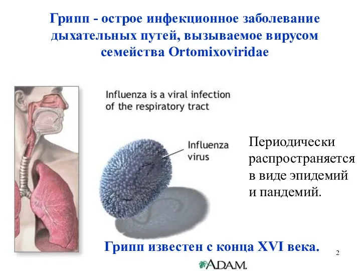 Грипп - острое инфекционное заболевание дыхательных путей, вызываемое вирусом семейства Ortomixoviridae Периодически
