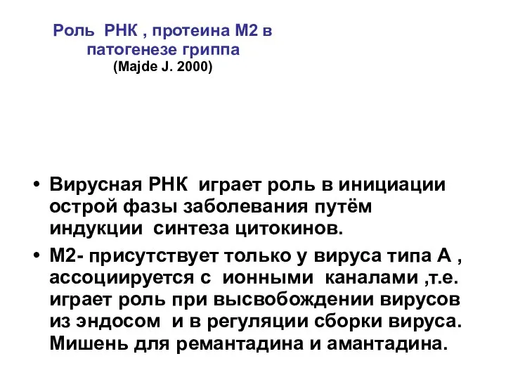 Роль РНК , протеина М2 в патогенезе гриппа (Majde J. 2000) Вирусная