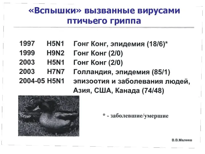 «Вспышки» вызванные вирусами птичьего гриппа