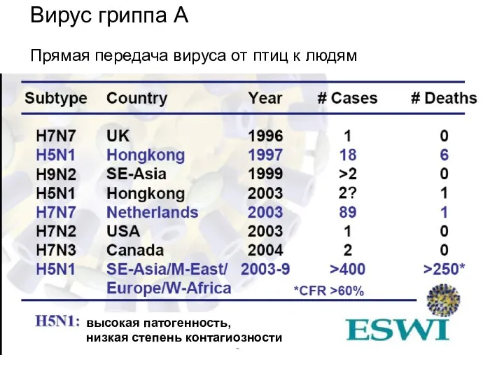 Вирус гриппа А Прямая передача вируса от птиц к людям высокая патогенность, низкая степень контагиозности