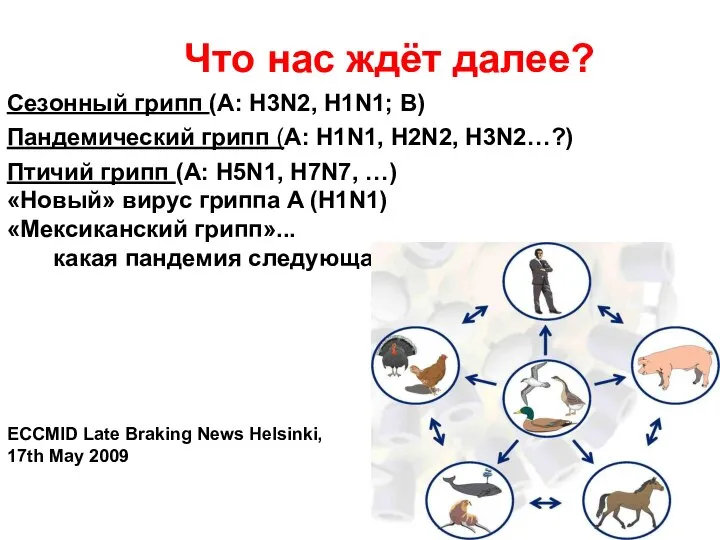 Что нас ждёт далее? Сезонный грипп (A: H3N2, H1N1; B) Пандемический грипп