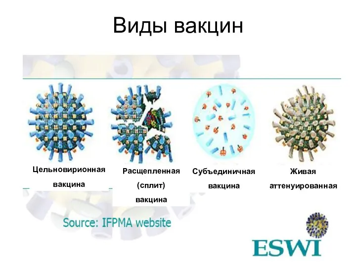 Виды вакцин Цельновирионная вакцина Расщепленная (сплит) вакцина Субъединичная вакцина Живая аттенуированная