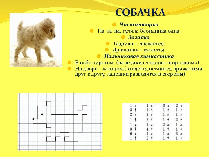 Чистоговорка На-на-на, гуляла блондинка одна. Загадка Гладишь – ласкается, Дразнишь – кусается.