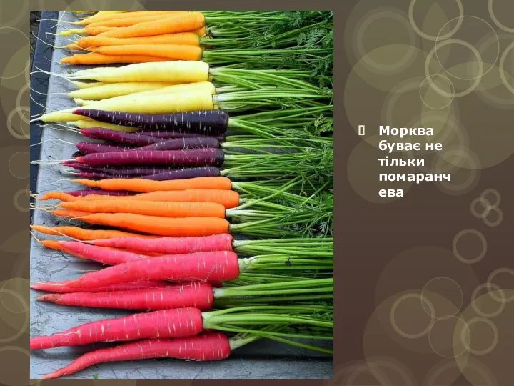 Морква буває не тільки помаранчева