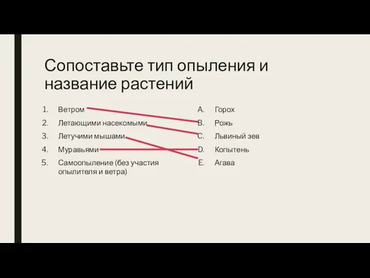 Сопоставьте тип опыления и название растений Ветром Летающими насекомыми Летучими мышами Муравьями