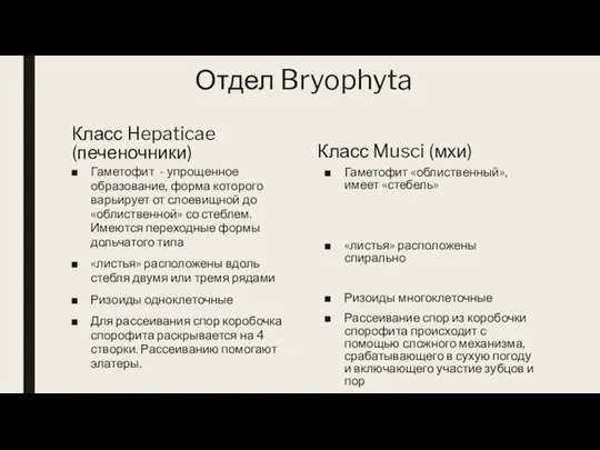 Отдел Bryophyta Класс Hepaticae (печеночники) Гаметофит - упрощенное образование, форма которого варьирует