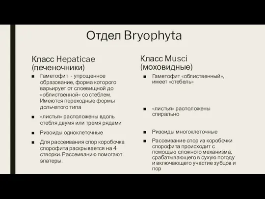 Отдел Bryophyta Класс Hepaticae (печеночники) Гаметофит - упрощенное образование, форма которого варьирует