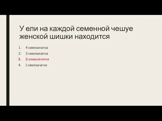 У ели на каждой семенной чешуе женской шишки находится 4 семязачатка 3