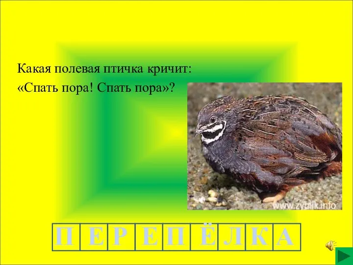 Какая полевая птичка кричит: «Спать пора! Спать пора»? П Е Р Е