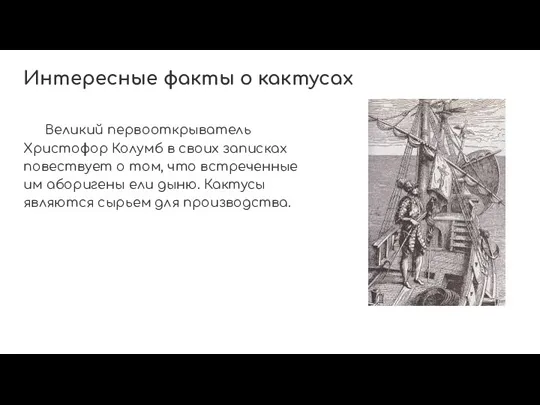 Интересные факты о кактусах Великий первооткрыватель Христофор Колумб в своих записках повествует