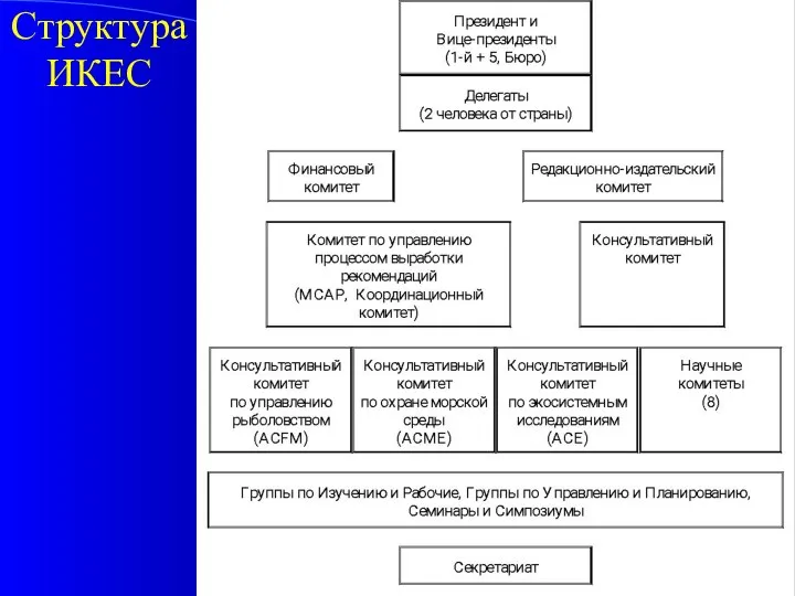 Структура ИКЕС