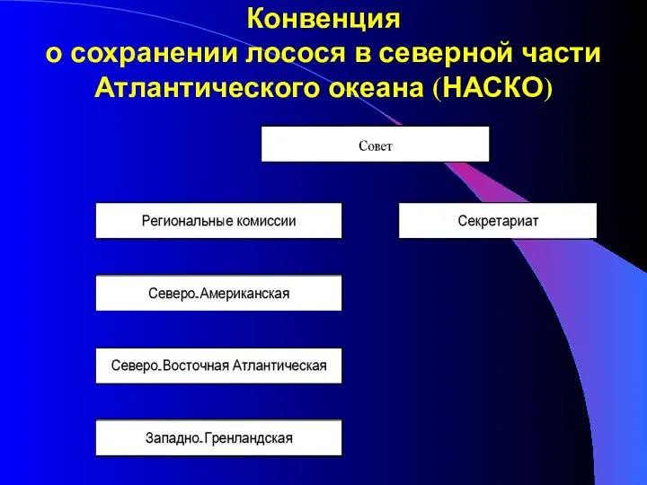 Конвенция о сохранении лосося в северной части Атлантического океана (НАСКО)