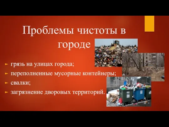 Проблемы чистоты в городе грязь на улицах города; переполненные мусорные контейнеры; свалки; загрязнение дворовых территорий.