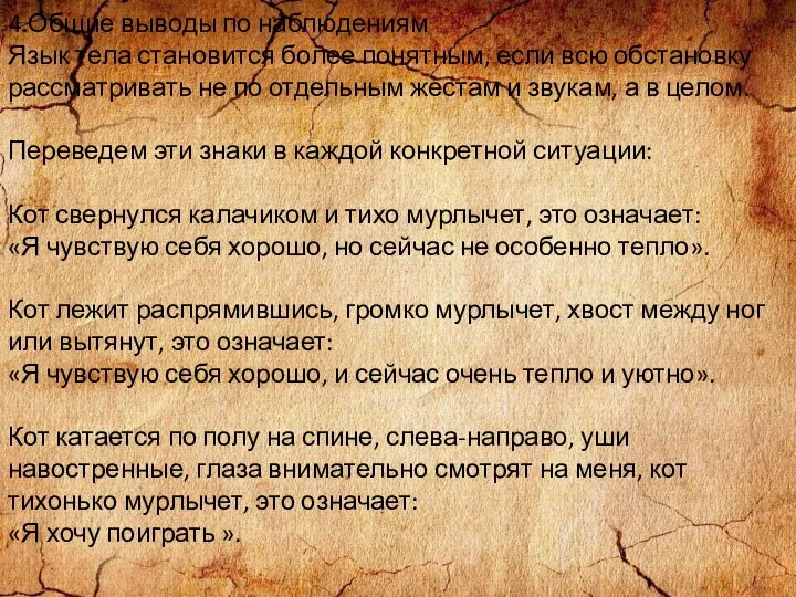 4.Общие выводы по наблюдениям Язык тела становится более понятным, если всю обстановку