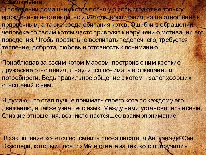 6.Заключение В поведении домашних котов большую роль играют не только врожденные инстинкты,